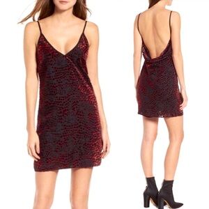 WAYF Lamont Leopard Velvet Burnout Mini Slip Dress | Large